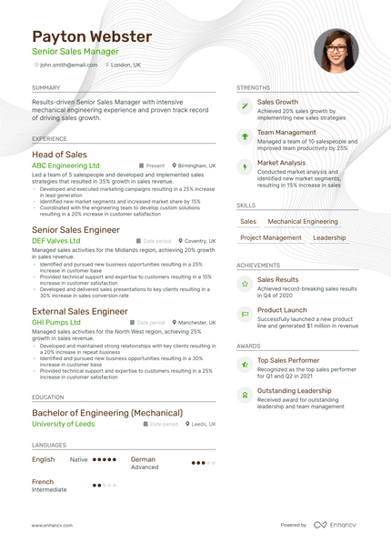 Senior Sales Manager resume example