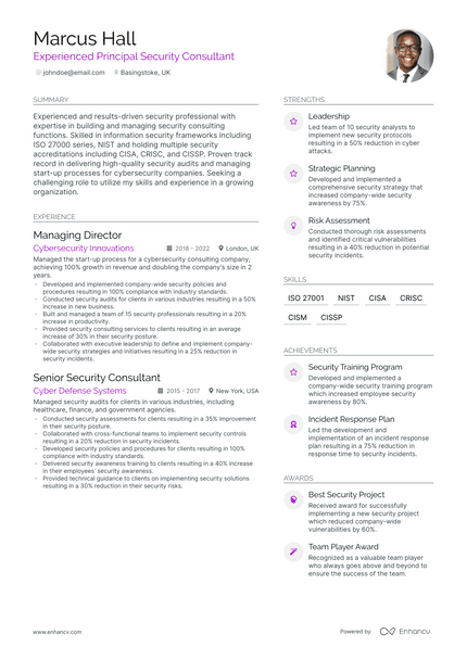 Security Director resume example