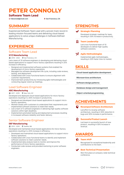Software Team Lead resume example