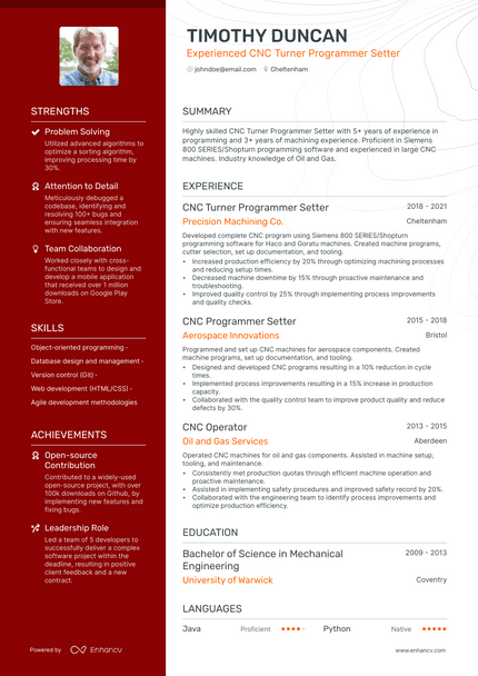 Software Programmer resume example