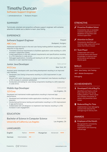 Software Support Engineer resume example
