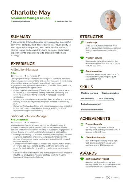 Solution Manager resume example