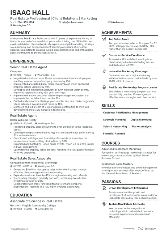 Real Estate Professional Resume Example