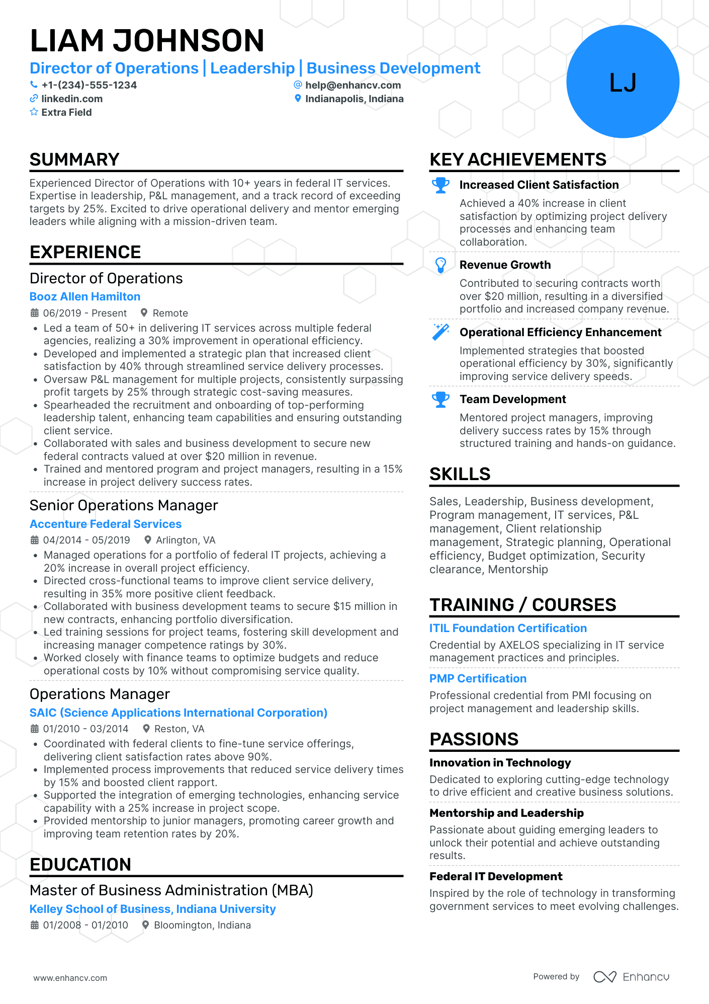 IT Director of Operations Resume Example