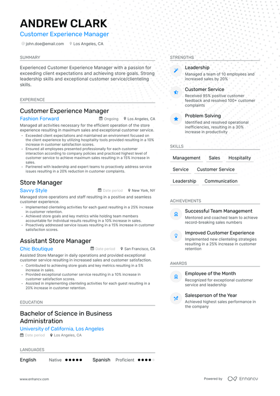 Customer Experience Manager Resume Example