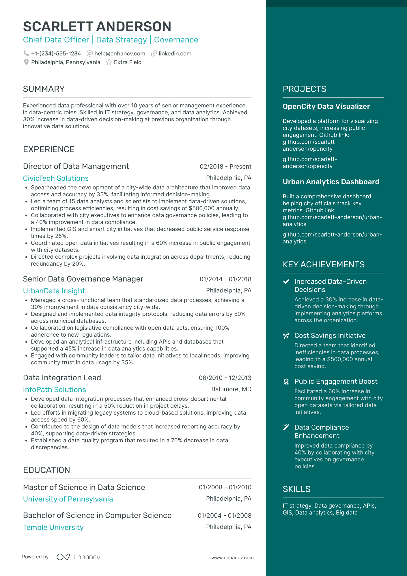 Chief Data Mining Officer Resume Example