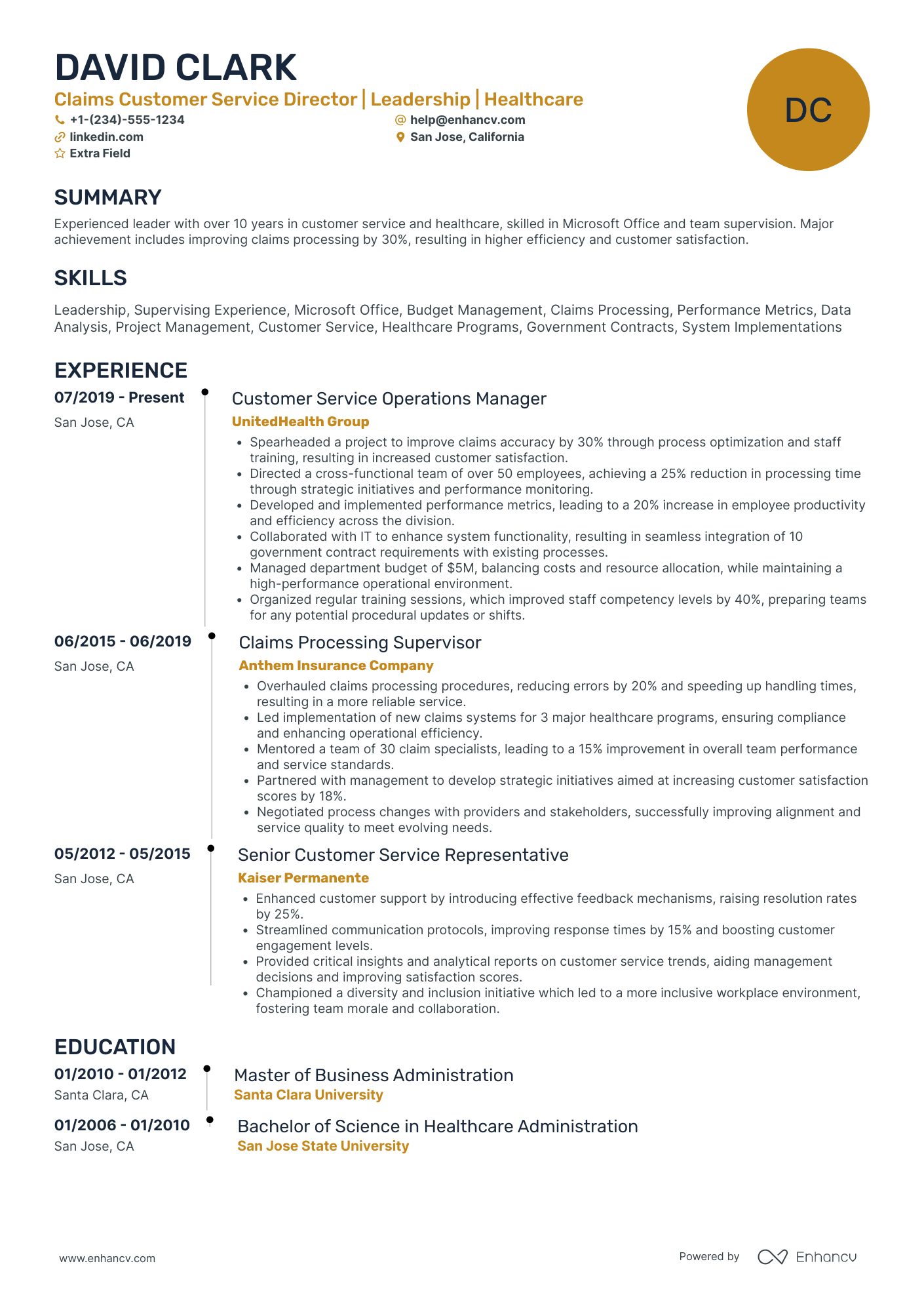 Customer Service Director Resume Example