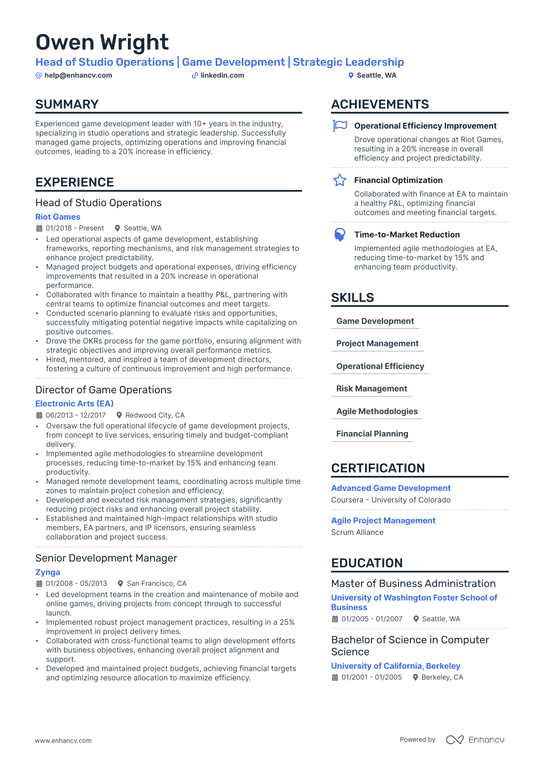 Gaming Technology CTO Resume Example