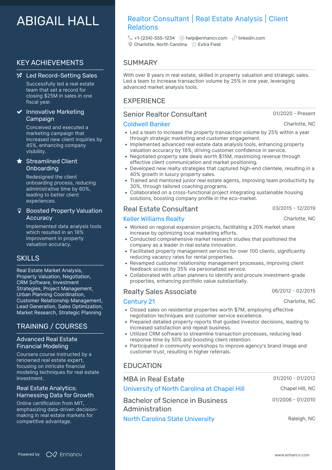 Realtor Consultant Resume Example