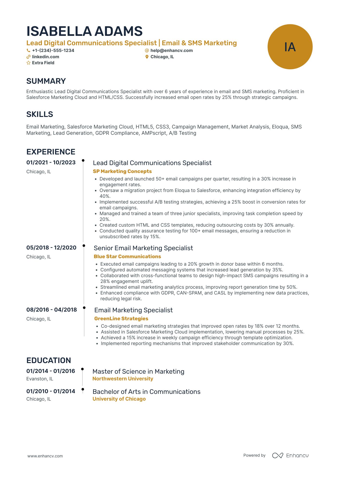 Email Marketing Lead Resume Example