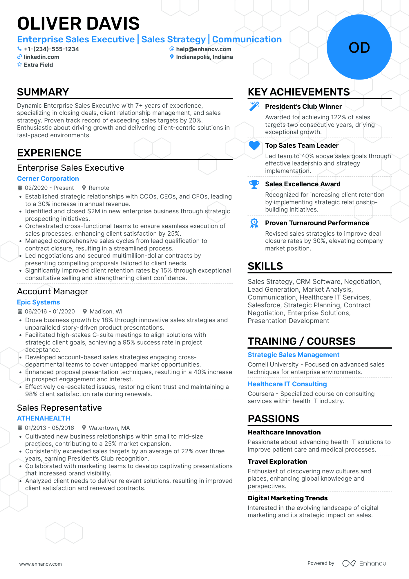 Enterprise Sales Executive Resume Example