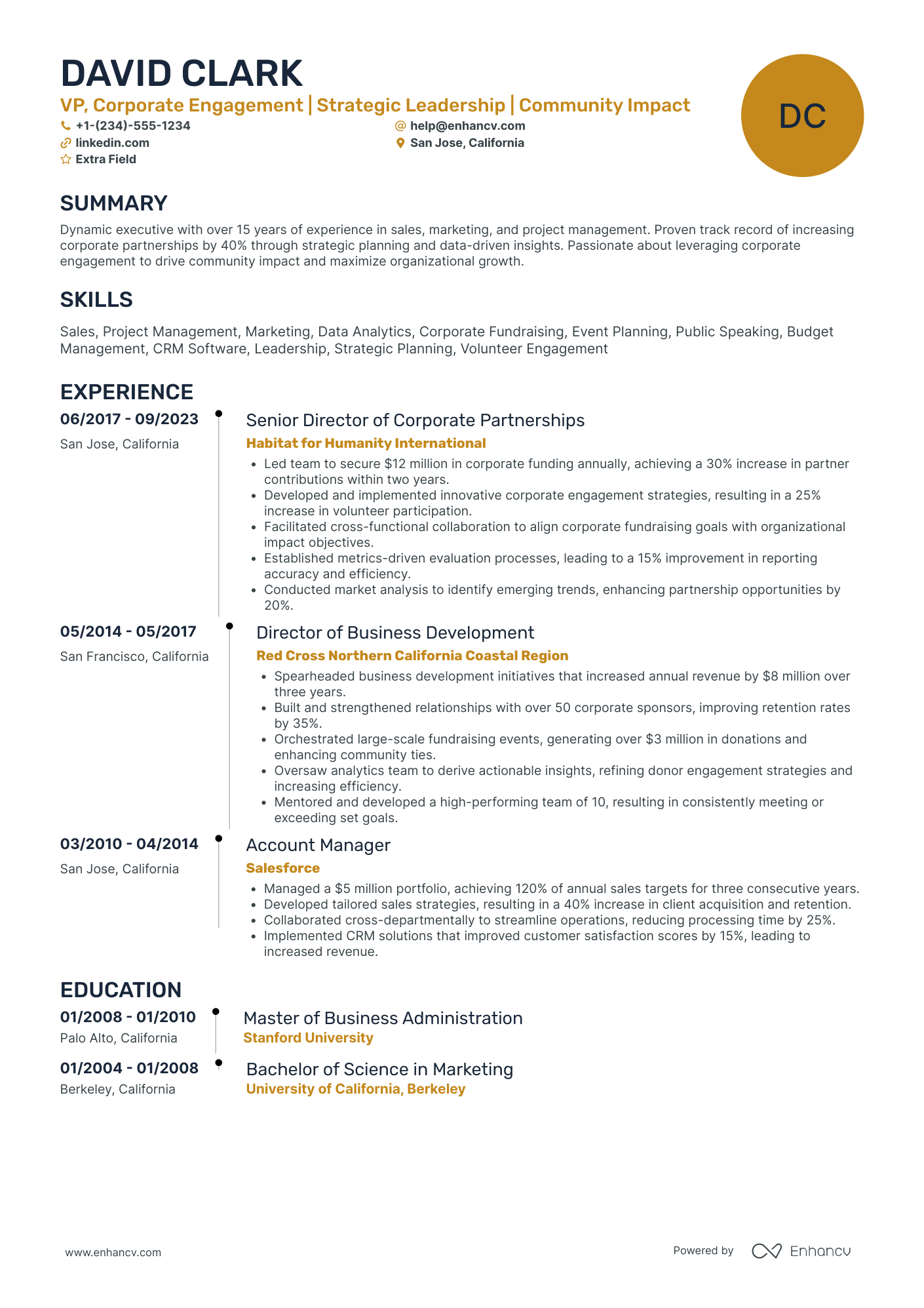 VP of Sales and Customer Success Resume Example