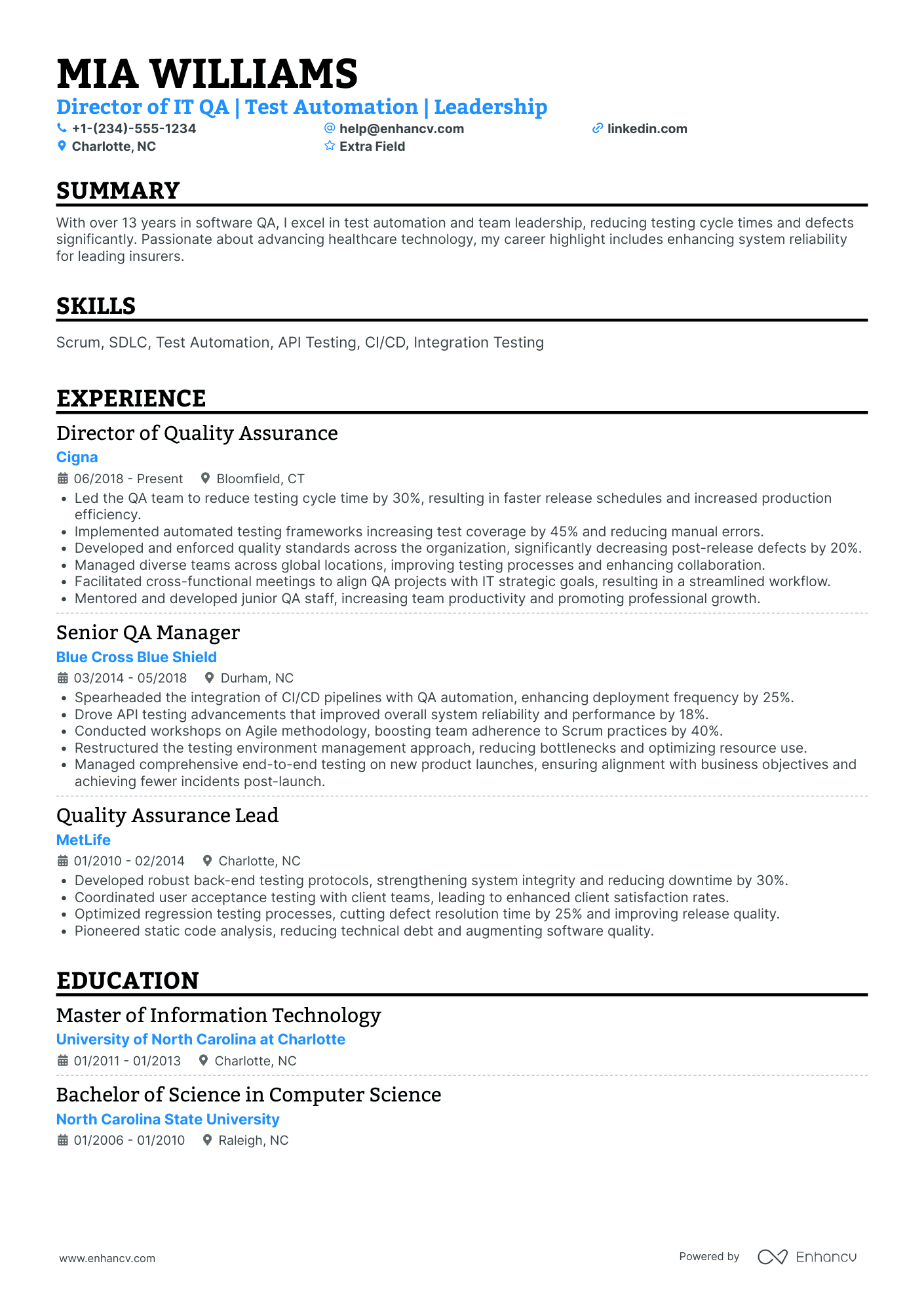 QA Tester Director Resume Example