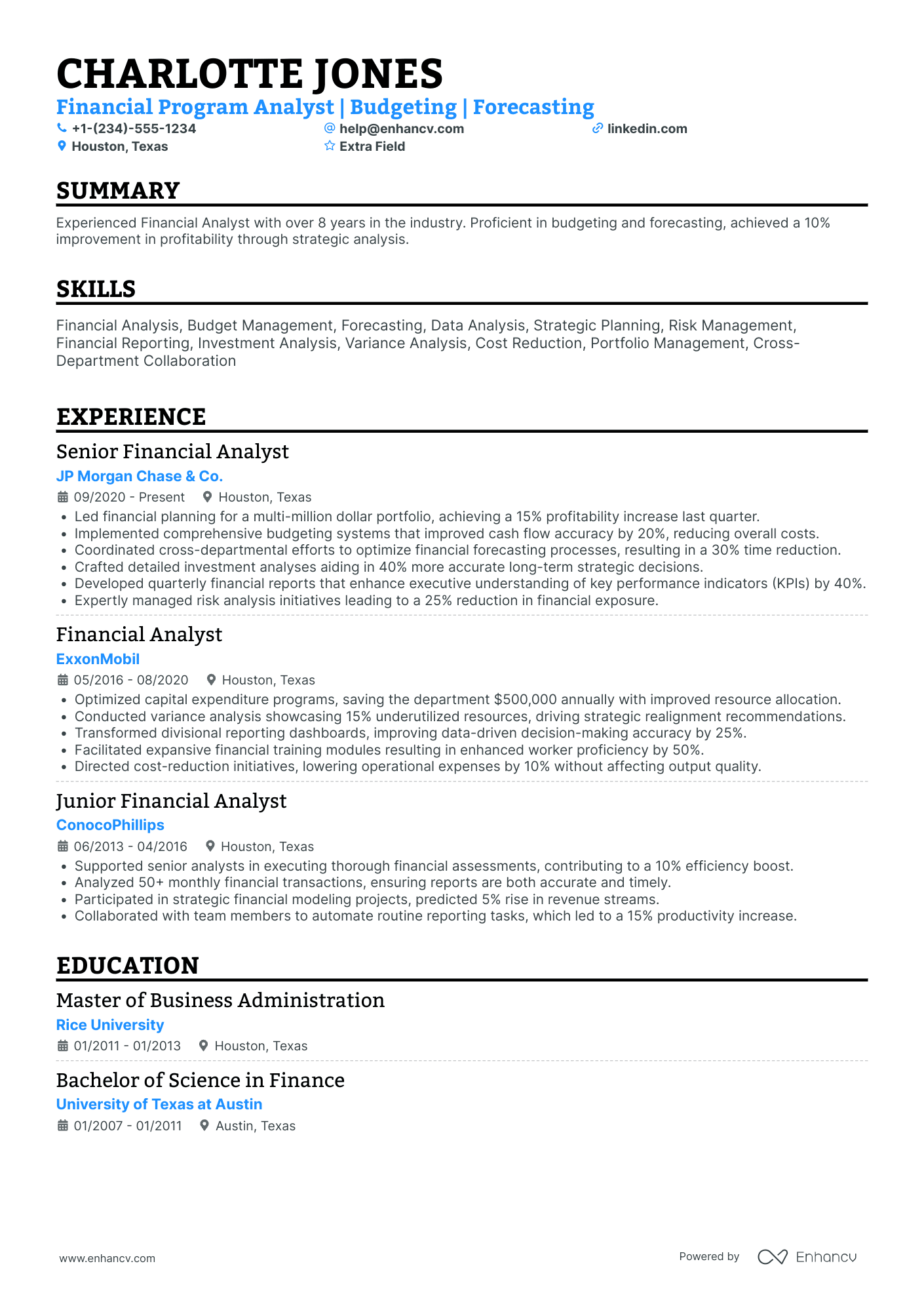 Financial Program Analyst Resume Example