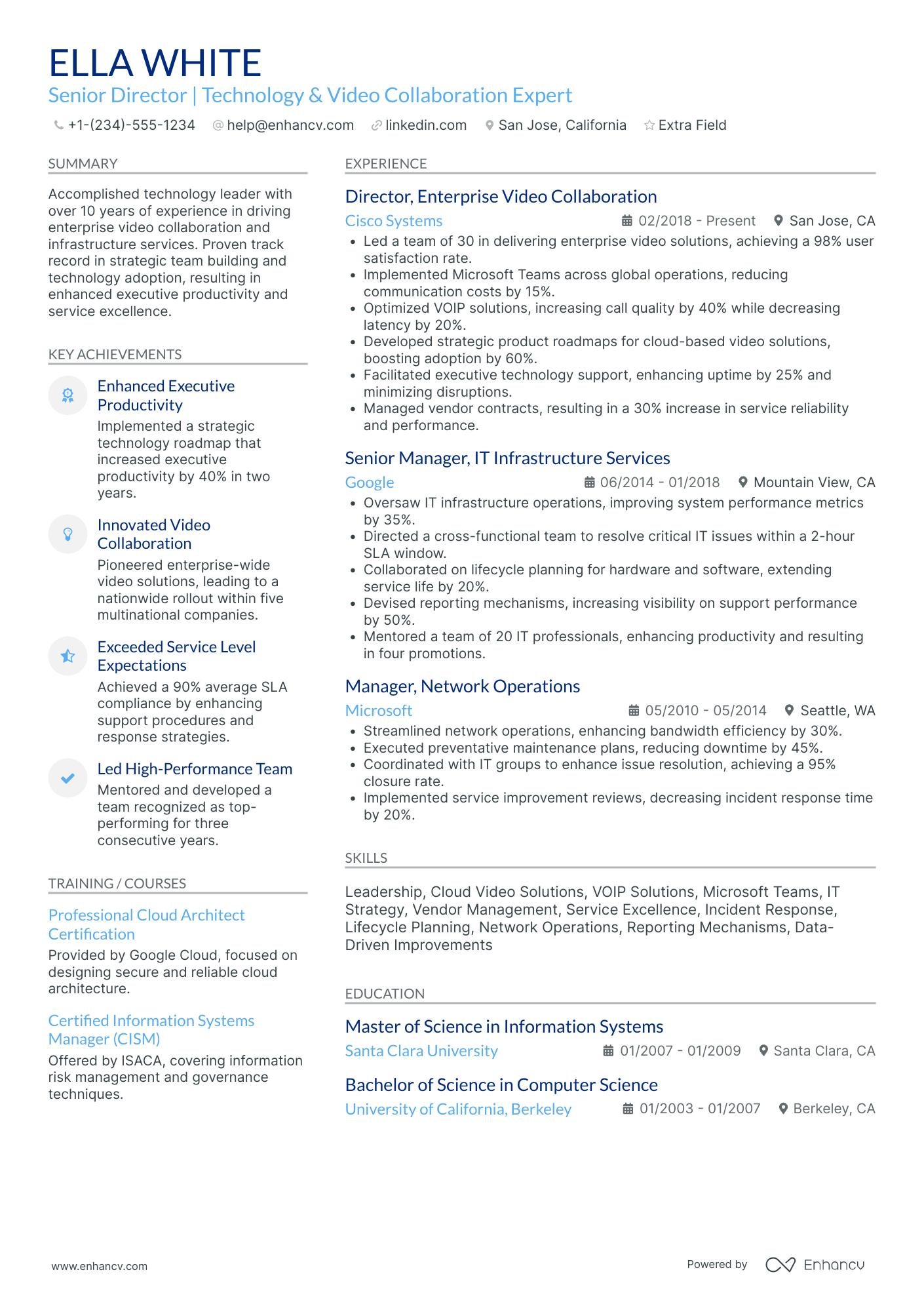 Executive Director of Information Technology Resume Example