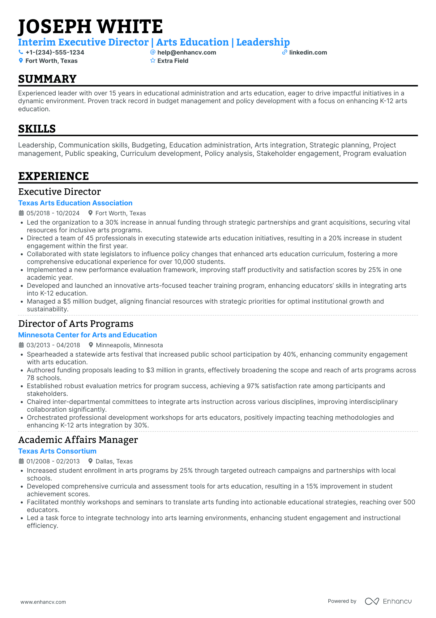 Interim Executive Director Resume Example