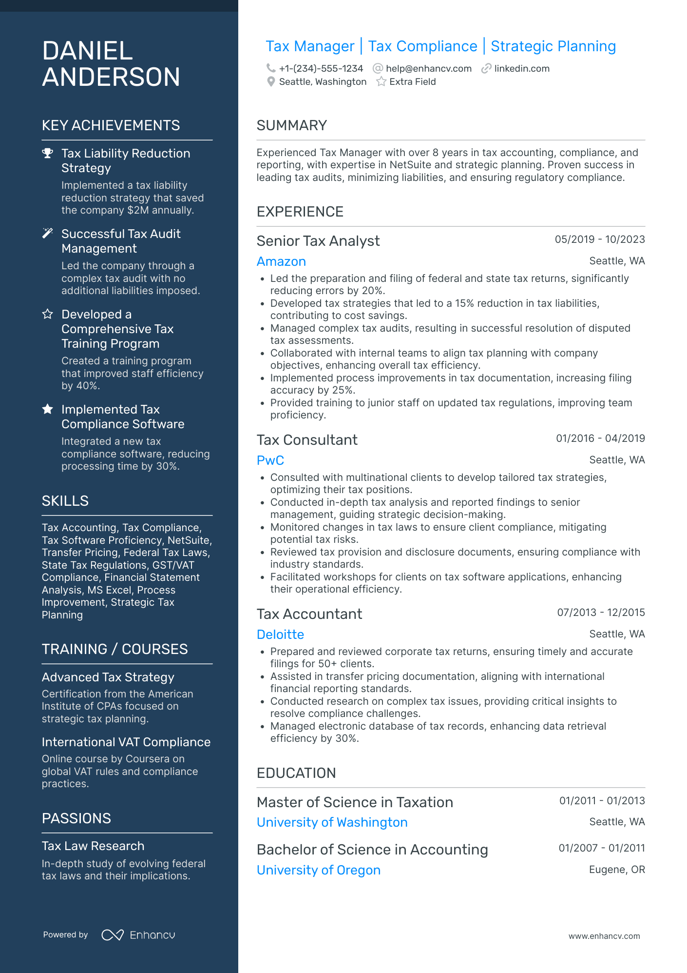 VAT Tax Manager Resume Example