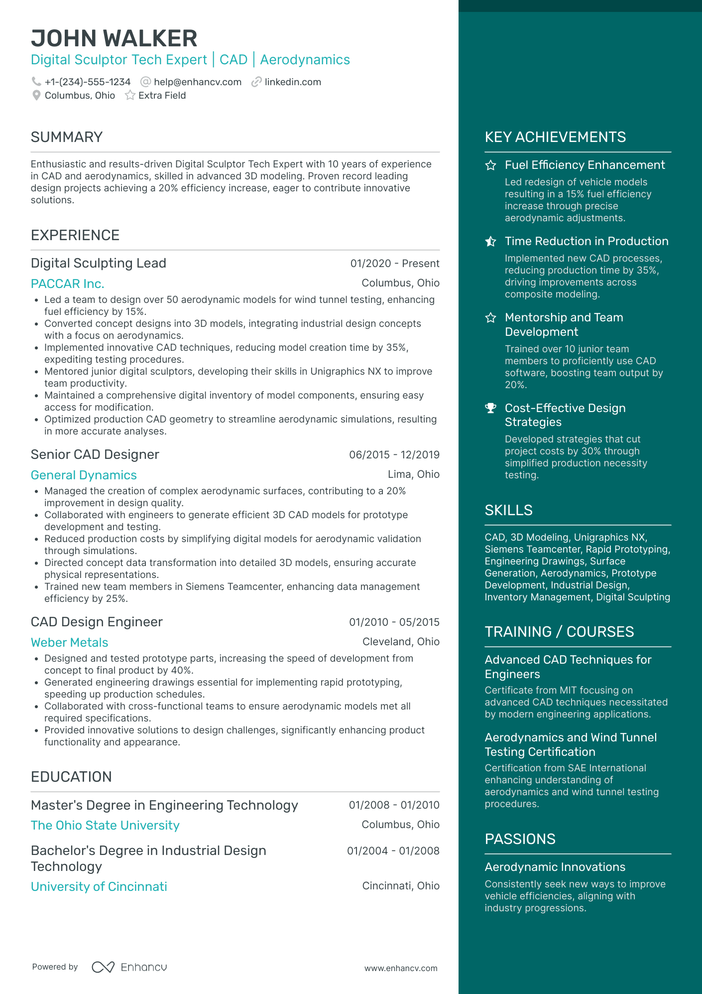 Digital Artist Resume Example