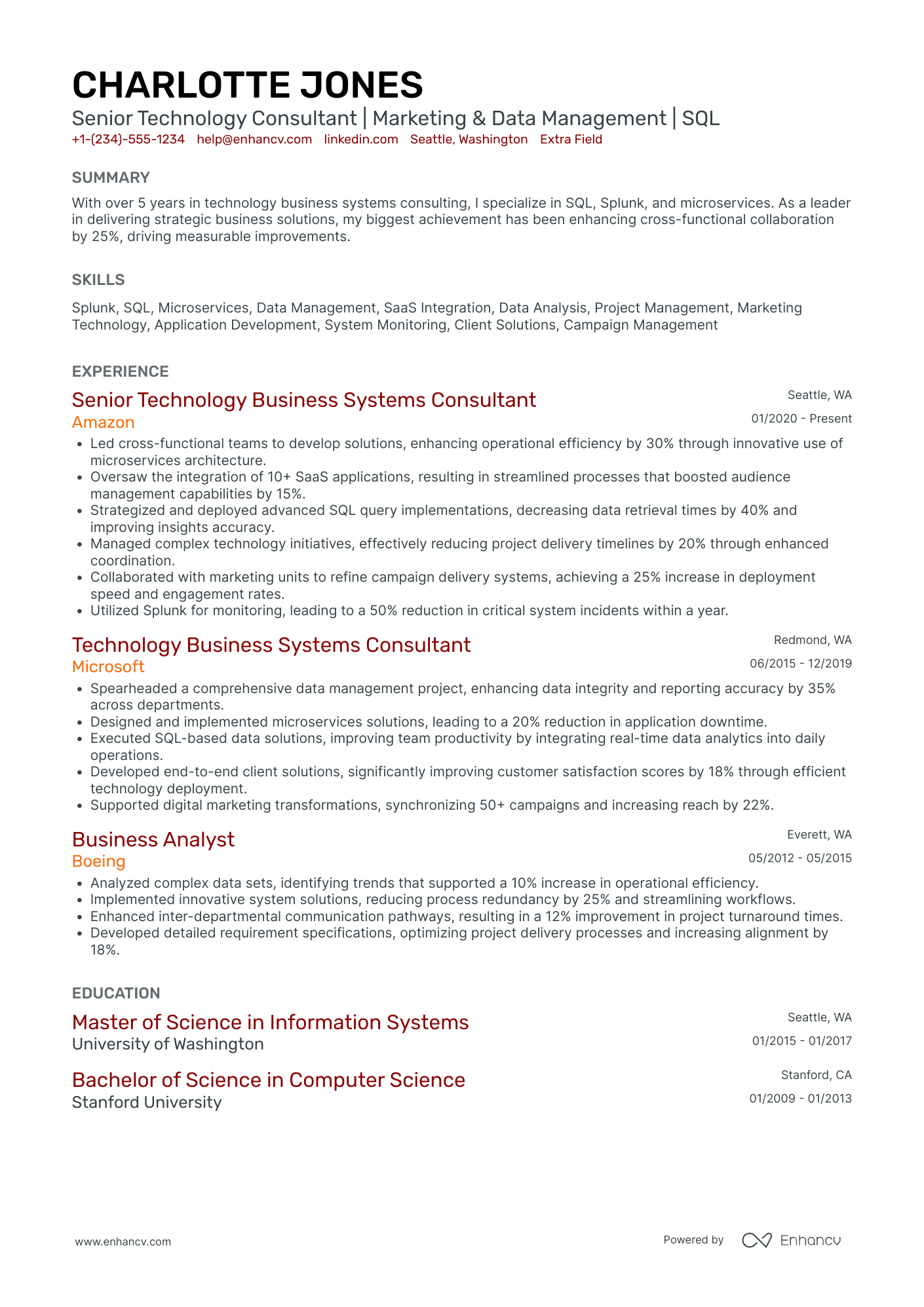 Technology Systems Consultant Resume Example