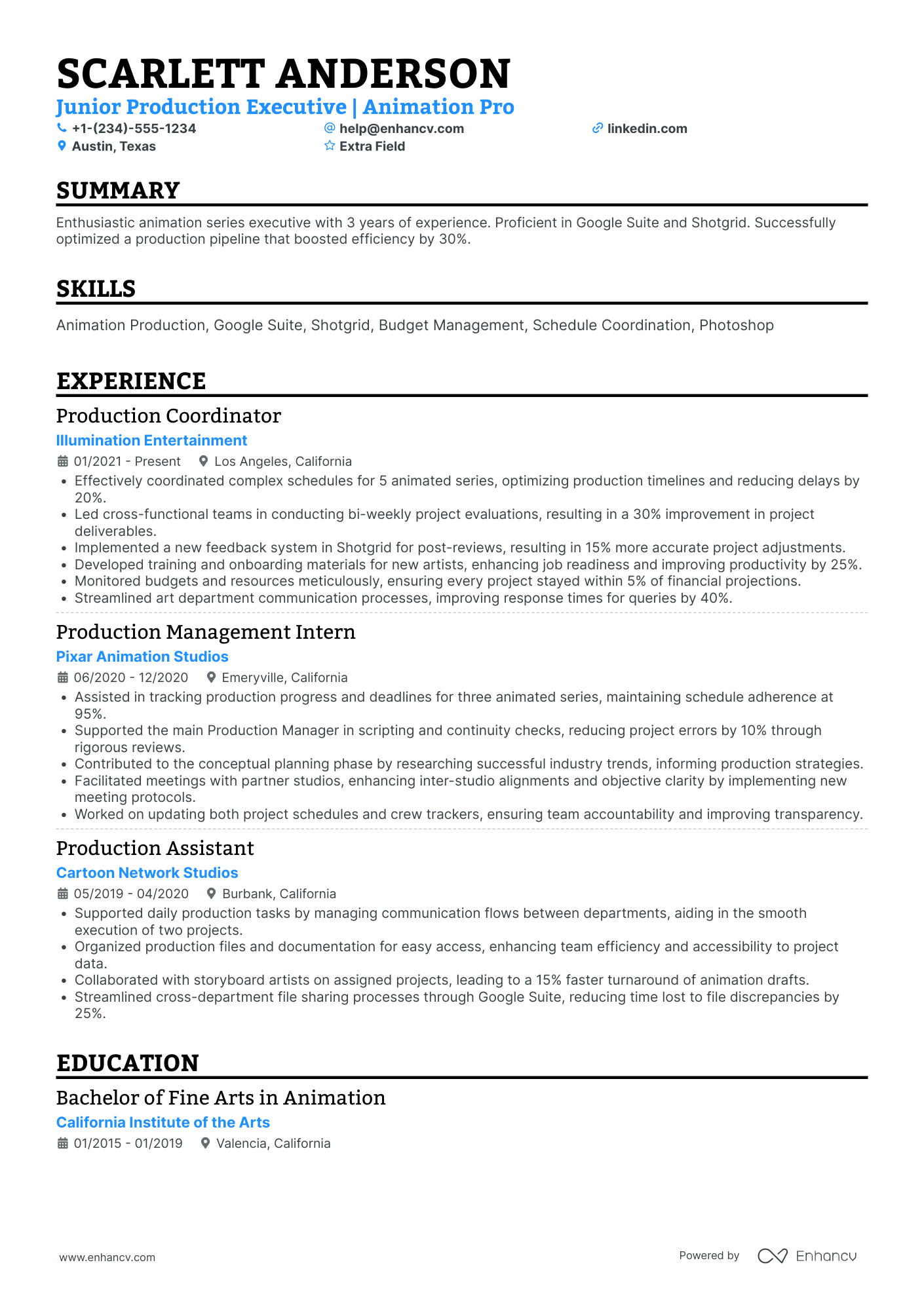 Animation Production Assistant Resume Example