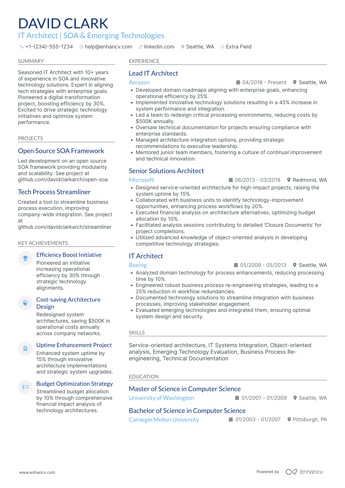 Chief IT Architect Resume Example