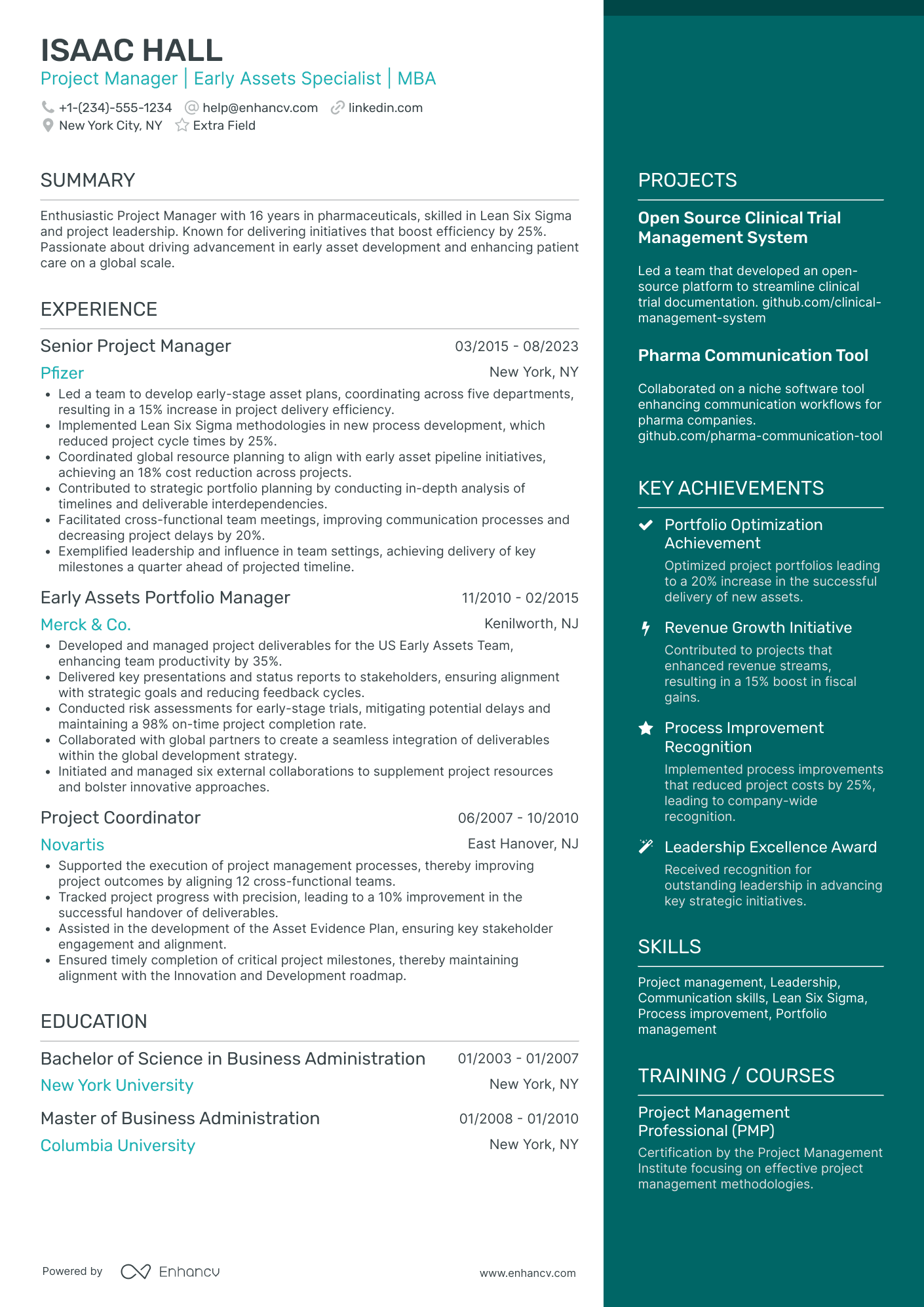 Project Manager Director Resume Example