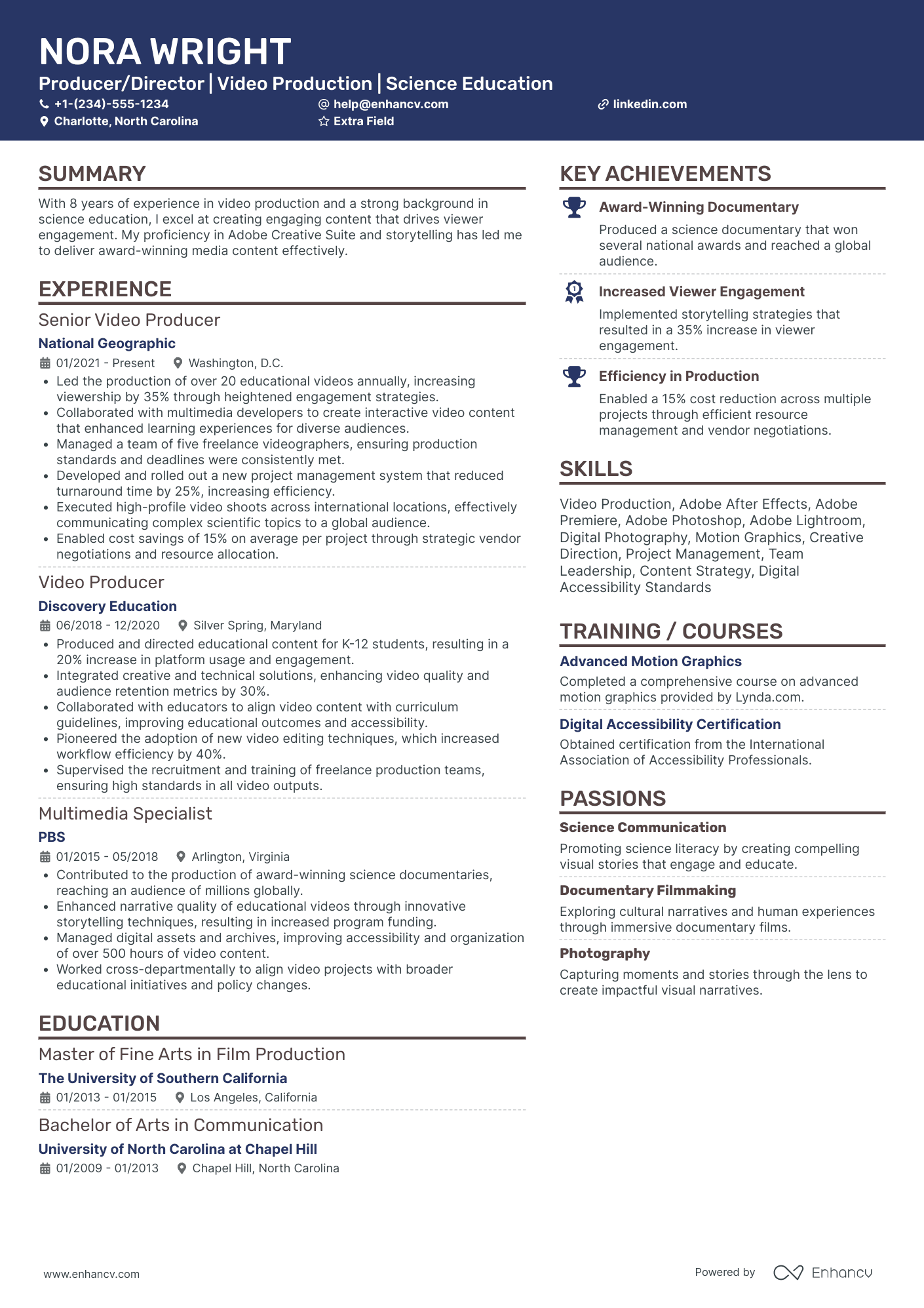 Motion Graphics Director Resume Example