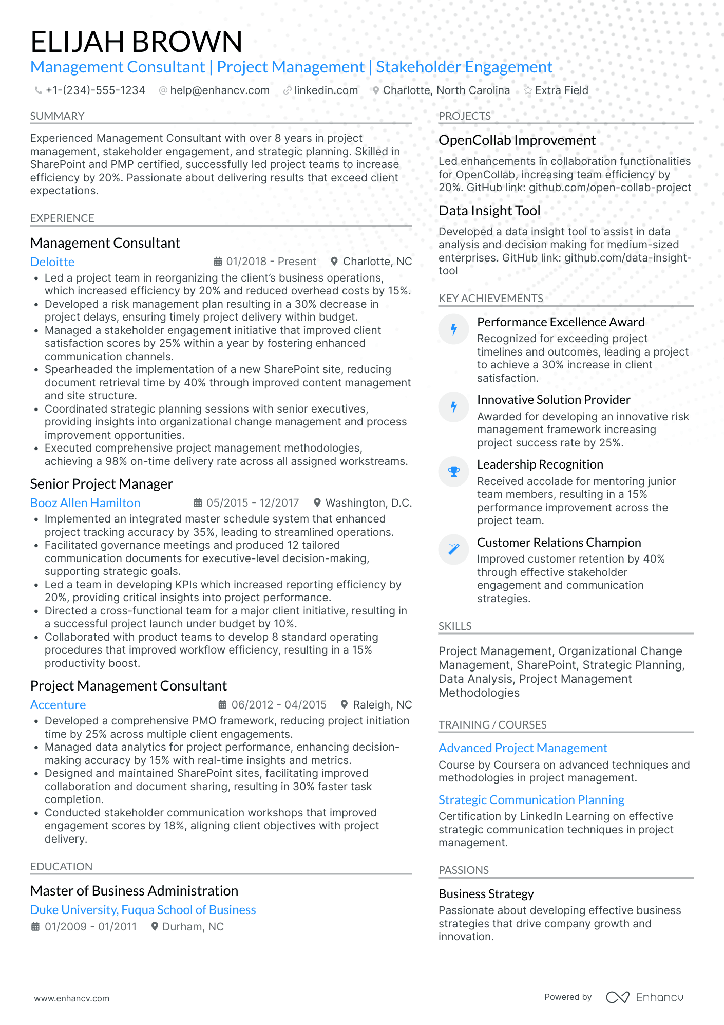 Social Engineering Consultant Resume Example