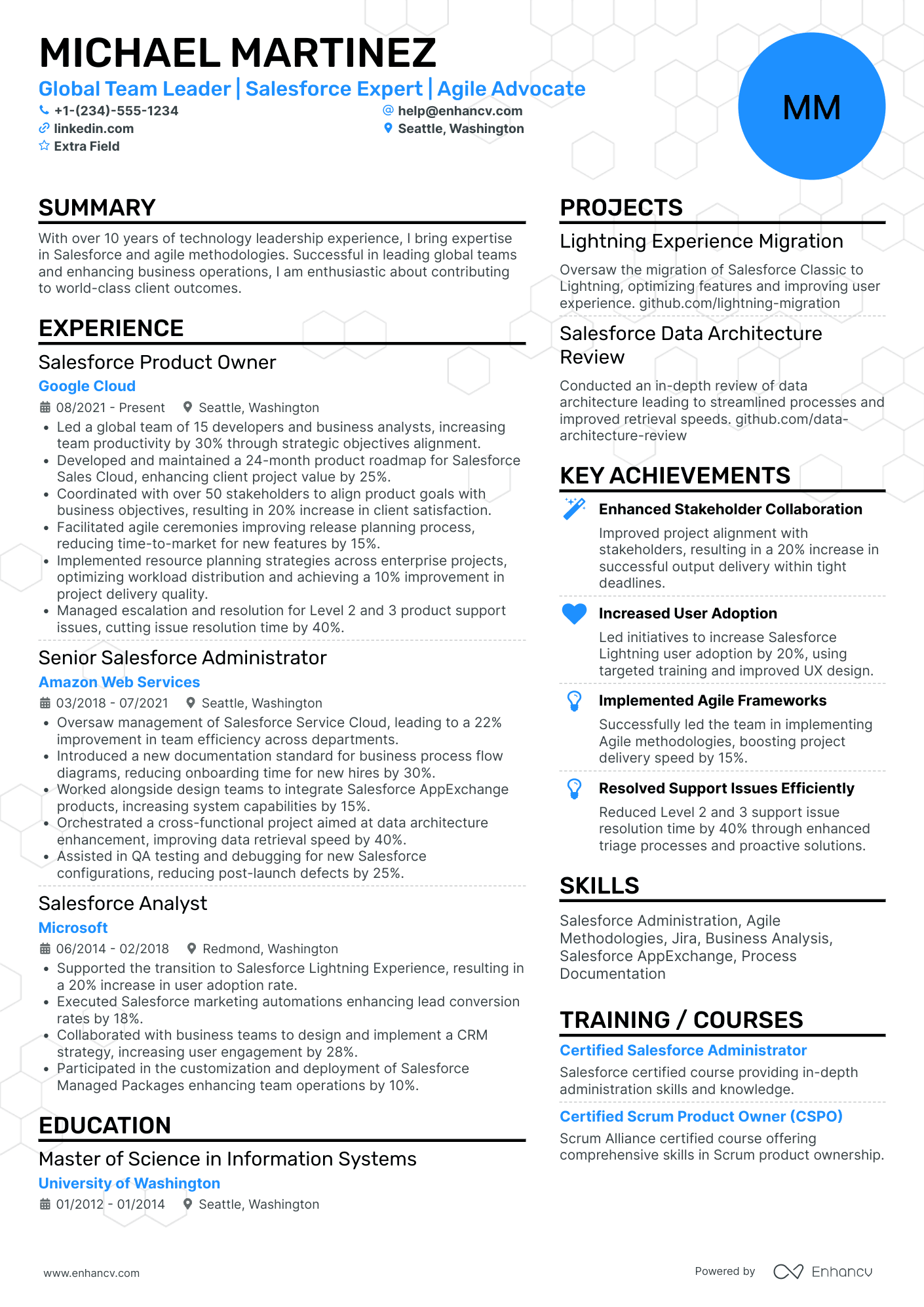 Tech Sales Manager Resume Example