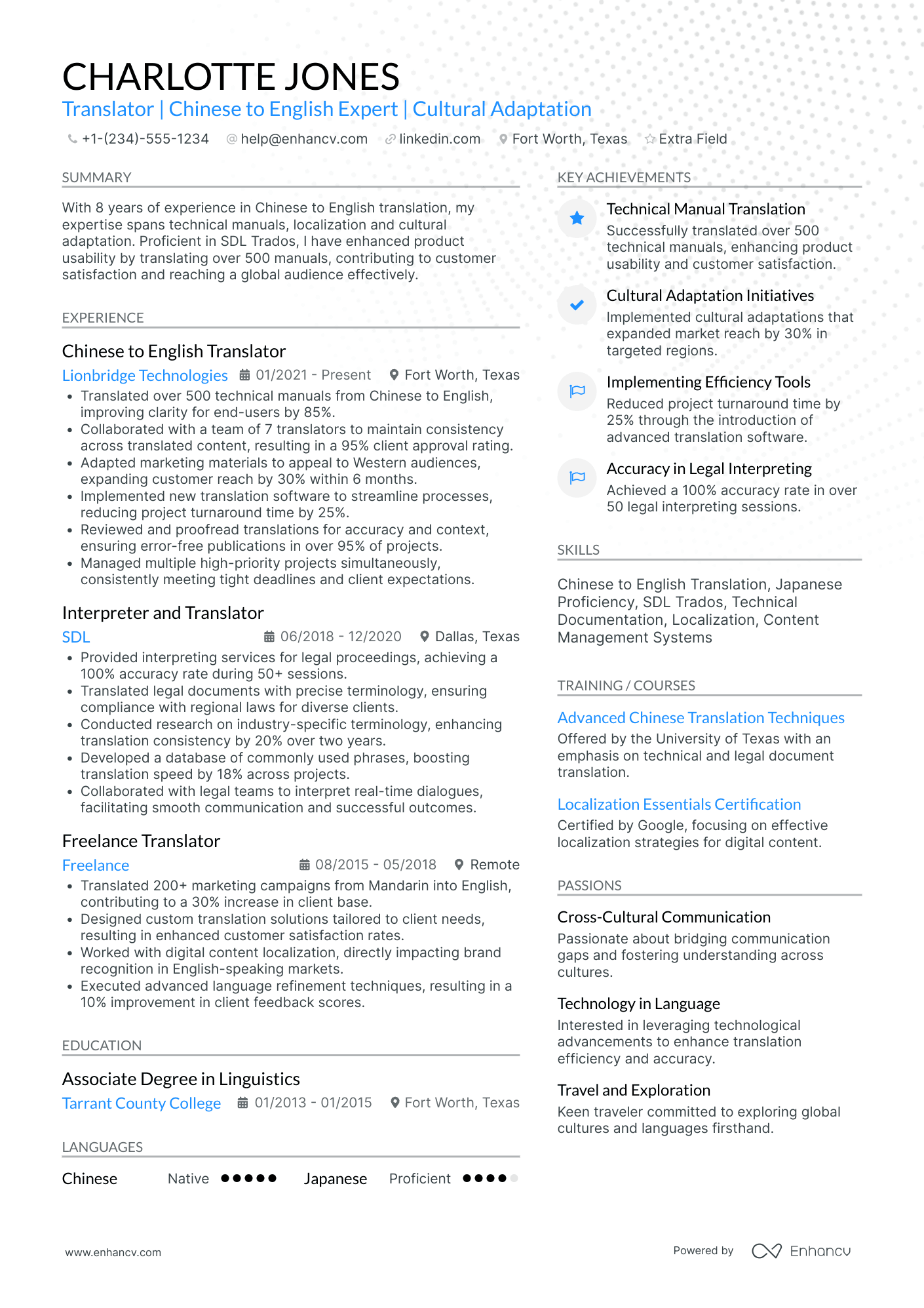 Experienced Translator Resume Example