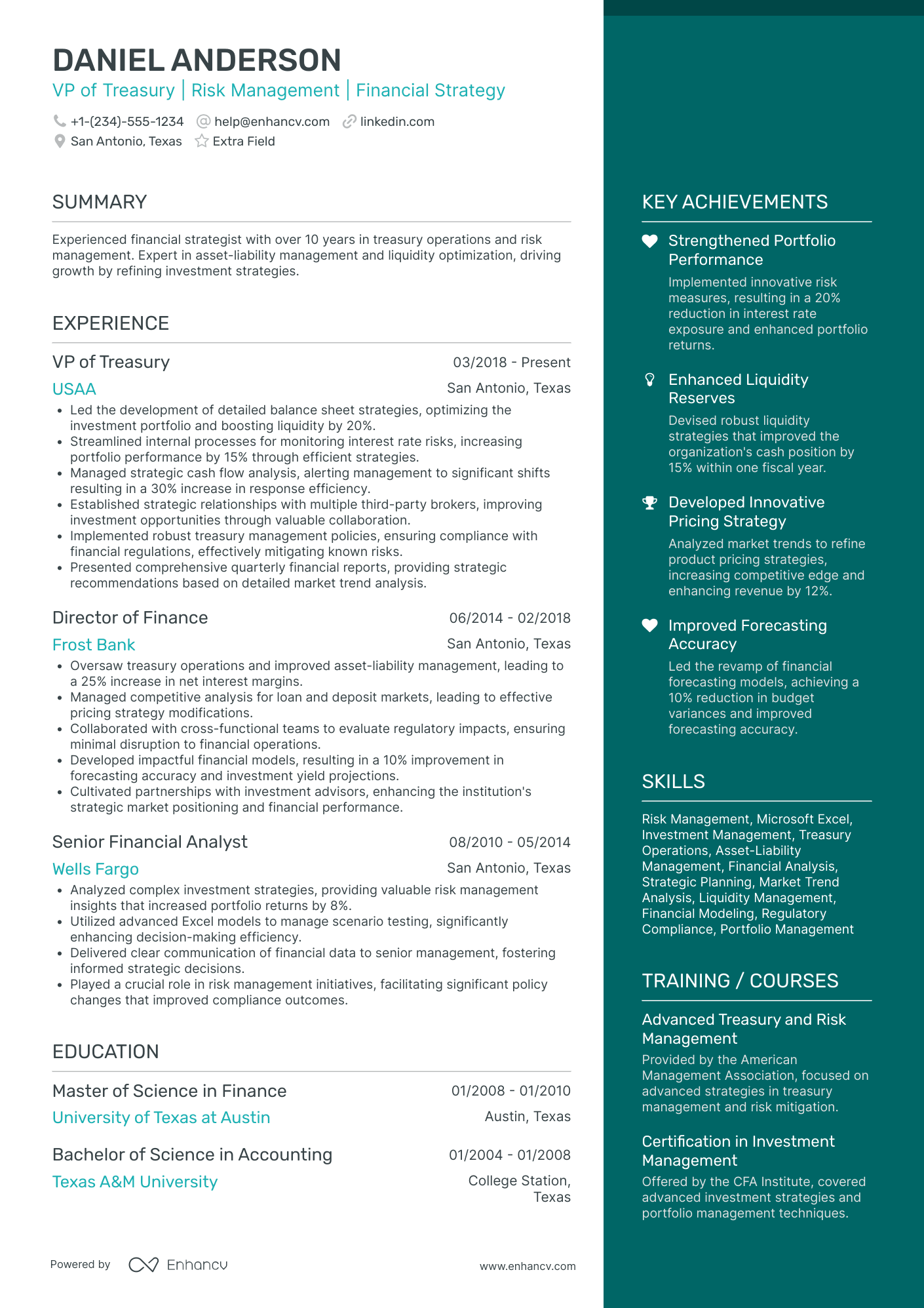 VP of Finance and Treasury Resume Example