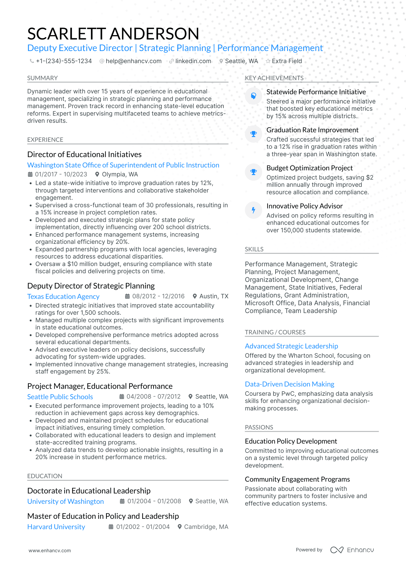 Deputy Executive Director Resume Example