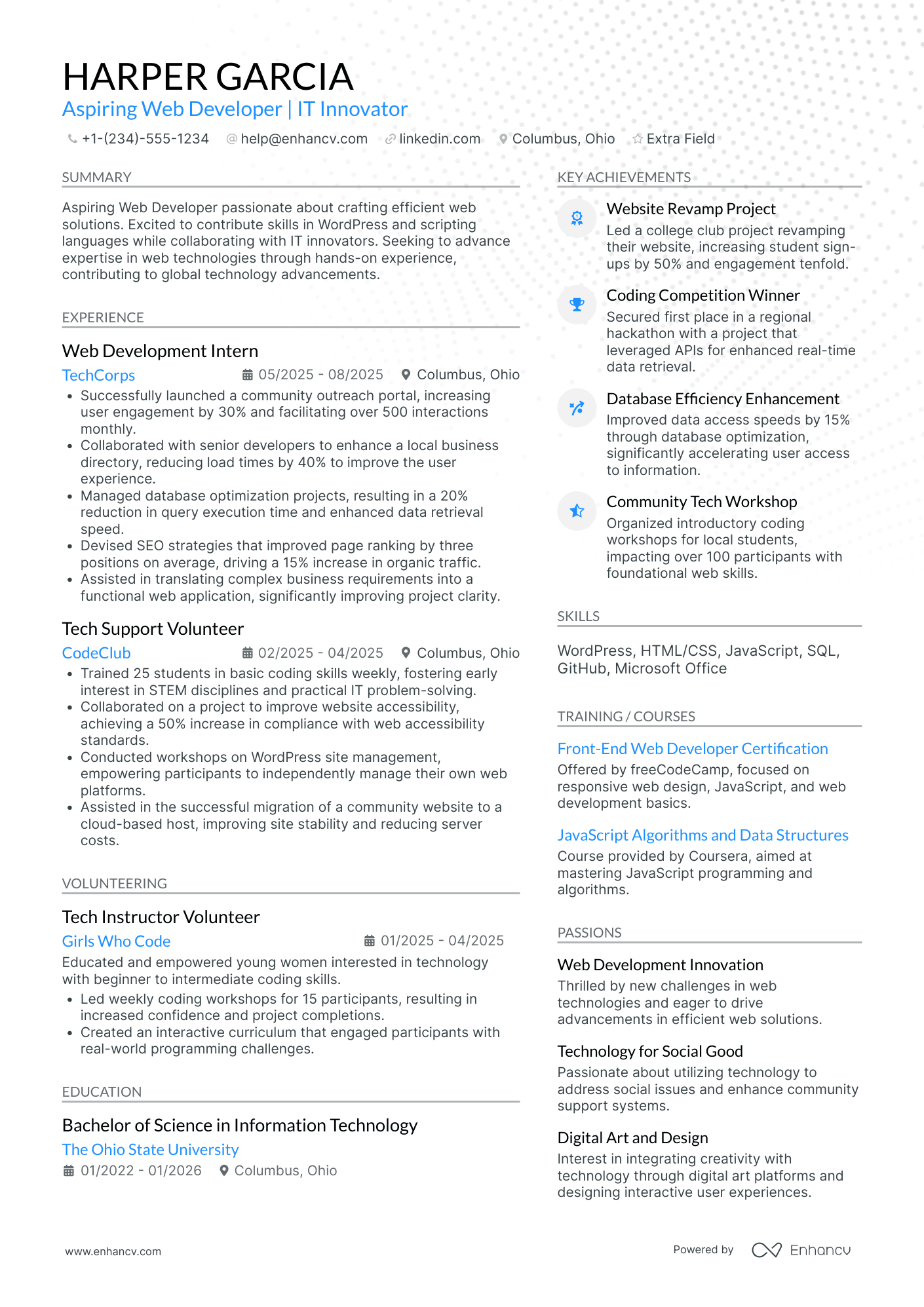 IT Web Development Intern Resume Example