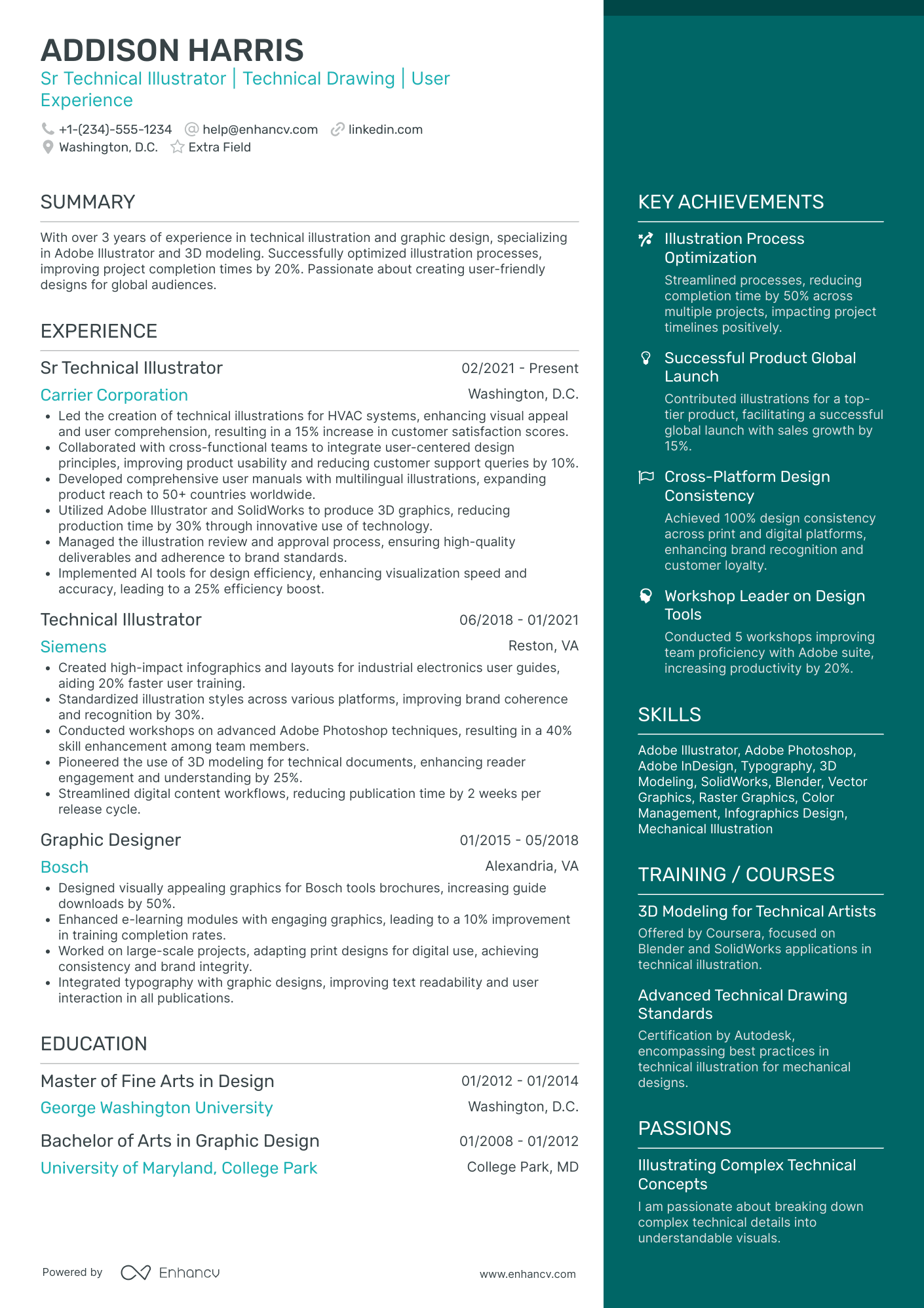 Digital Illustrator Resume Example