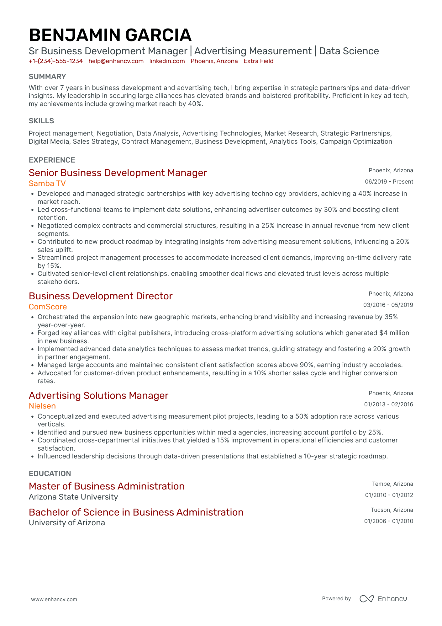 Advertising Business Development Manager Resume Example