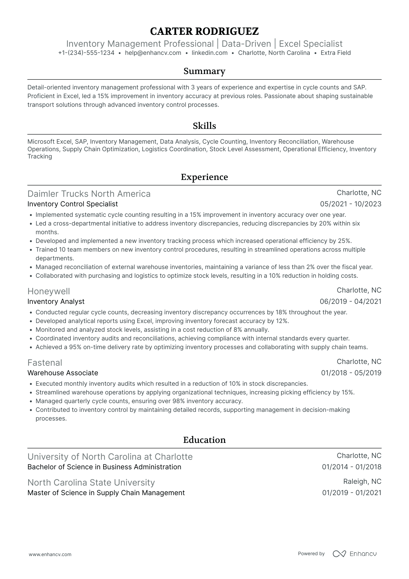 Inventory Auditor Resume Example