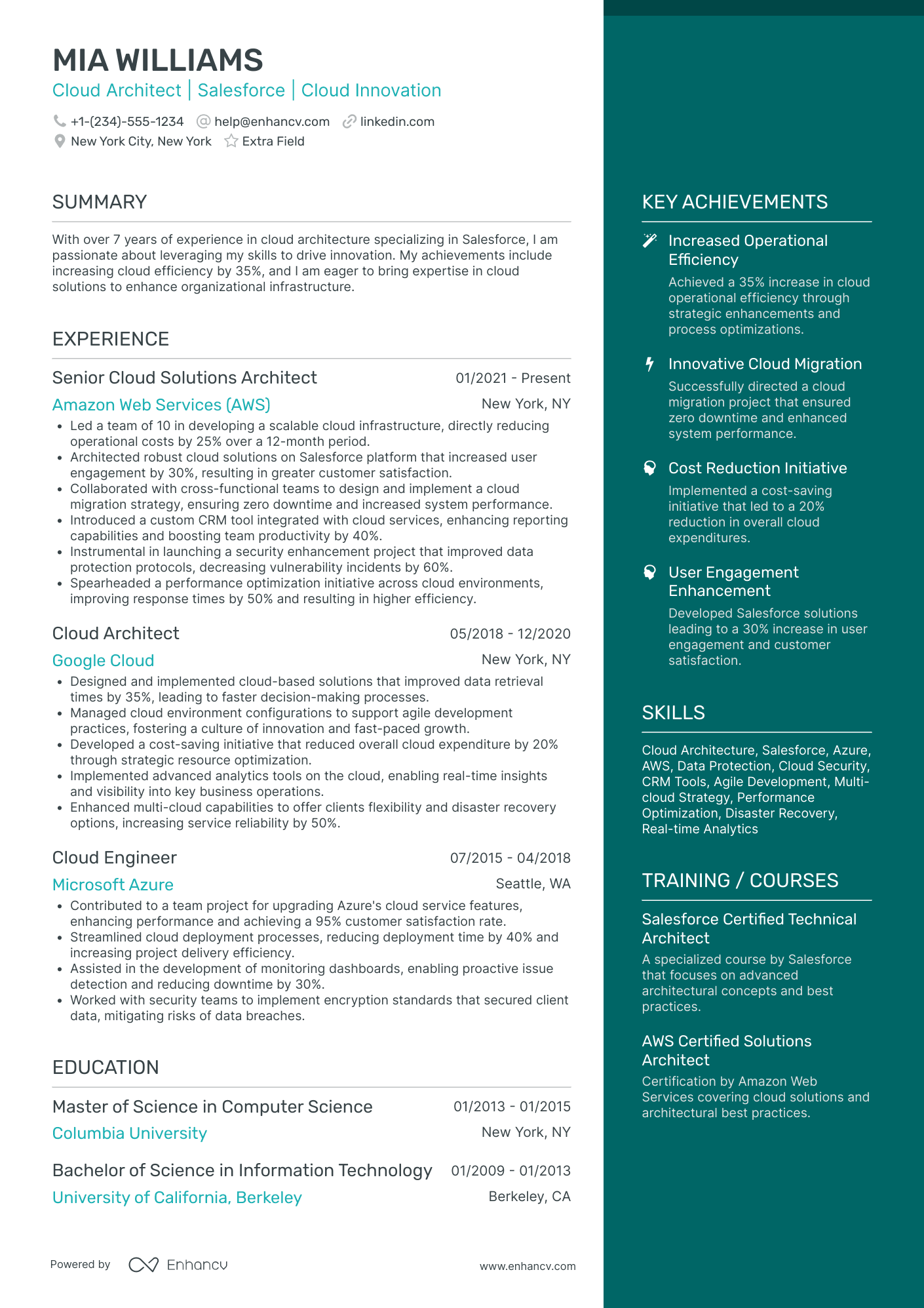 Entry Level Salesforce Developer Resume Example