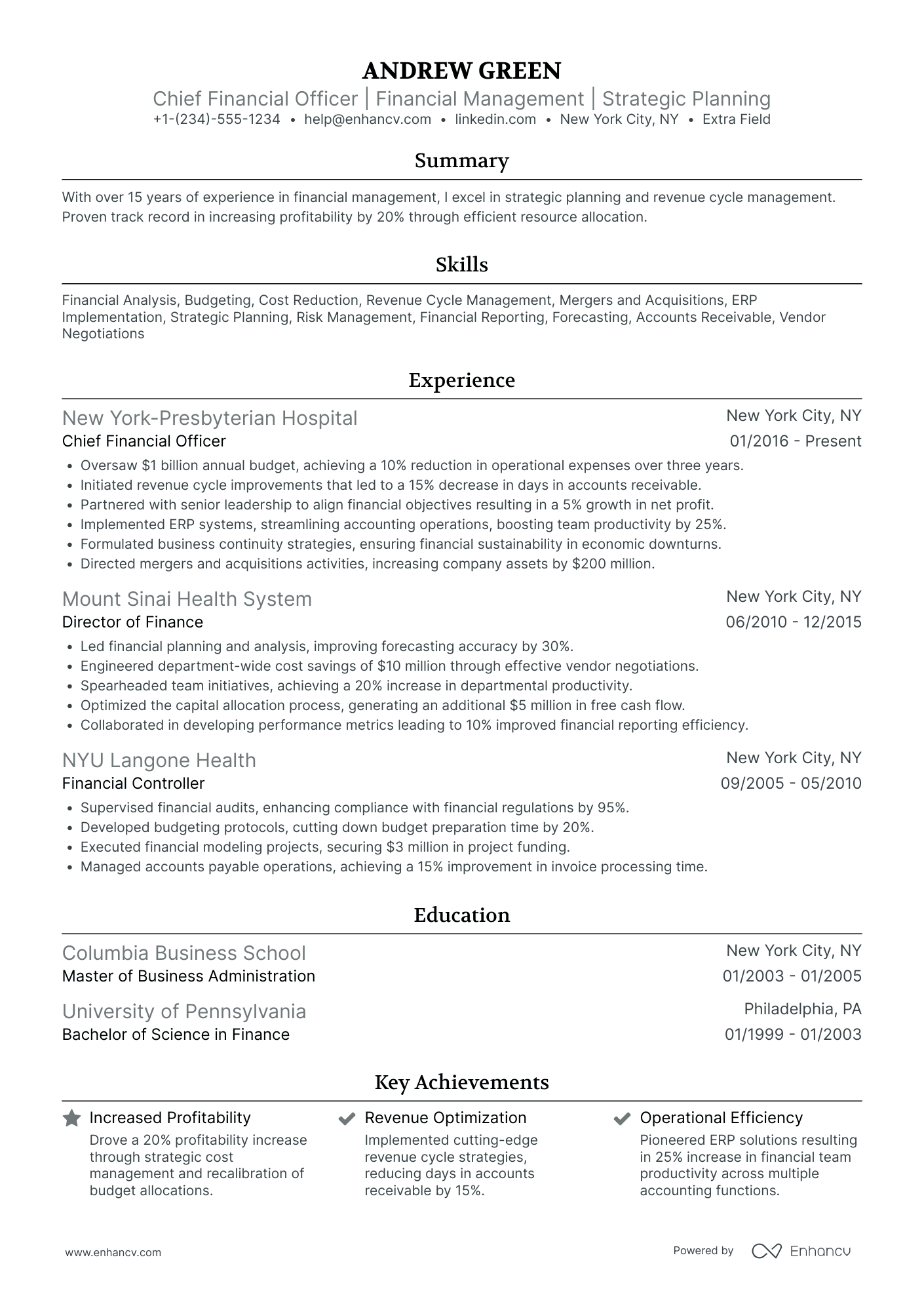 Senior Chief Financial Officer Resume Example