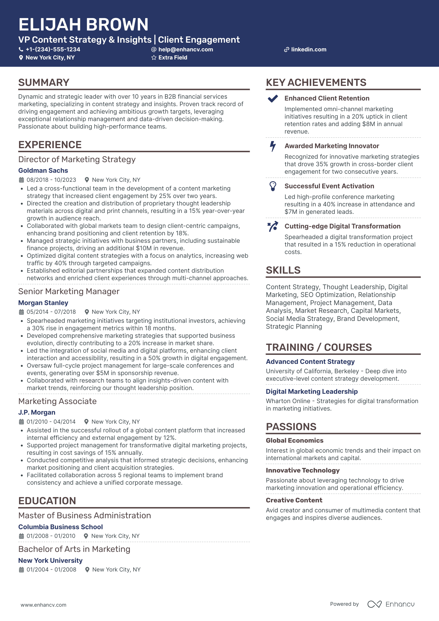 VP Marketing Strategy Resume Example