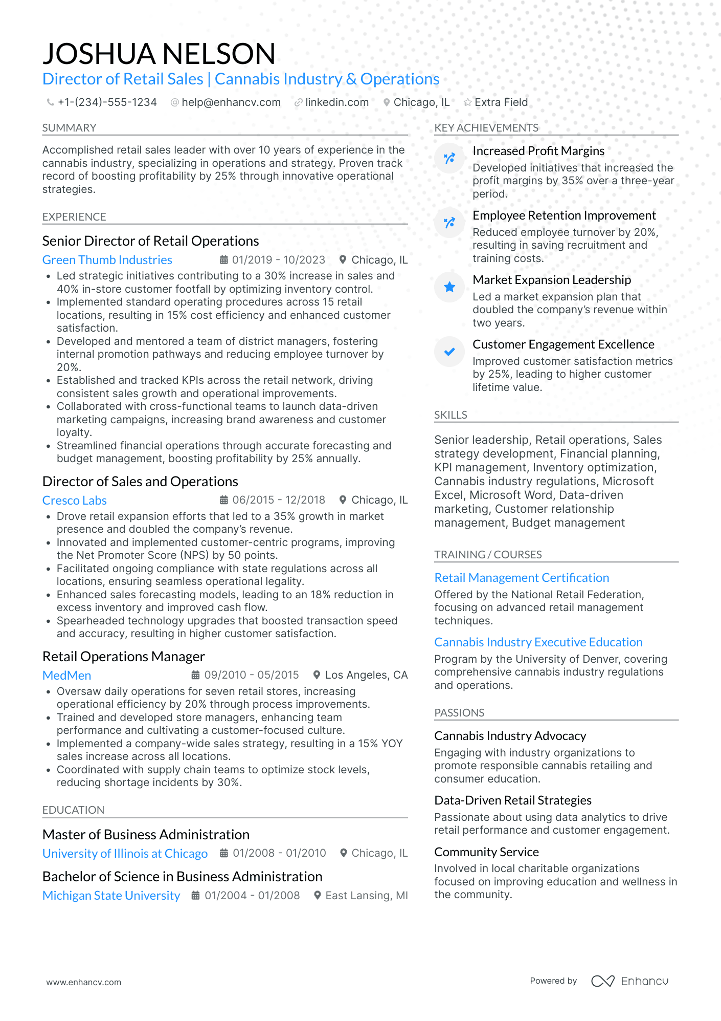 Director of Sales Operations Resume Example