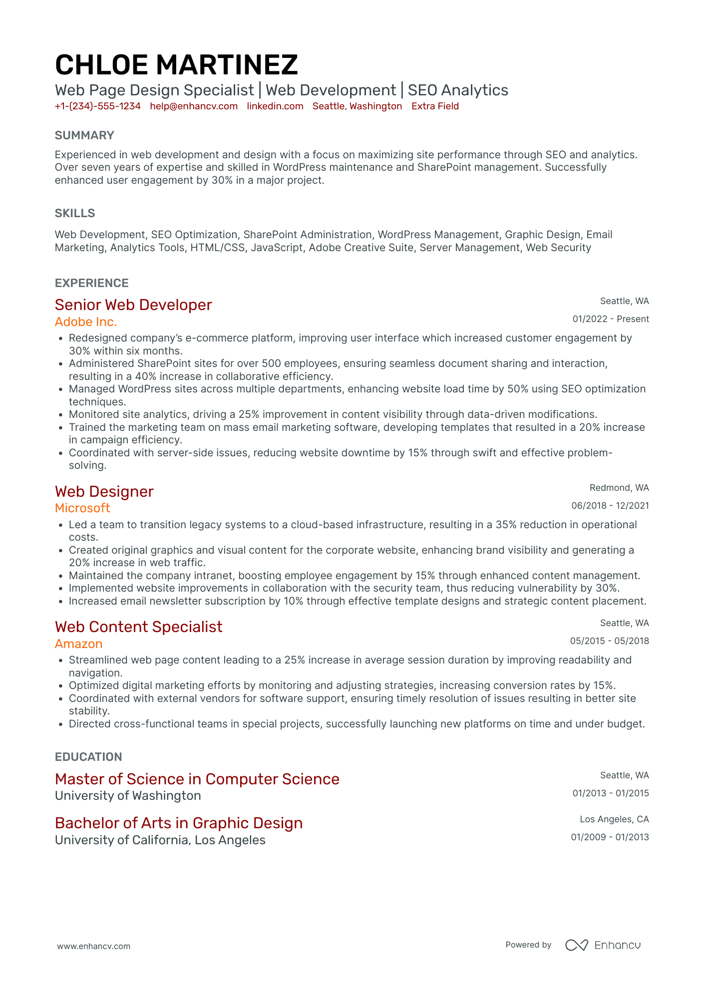 Web Design Specialist Resume Example