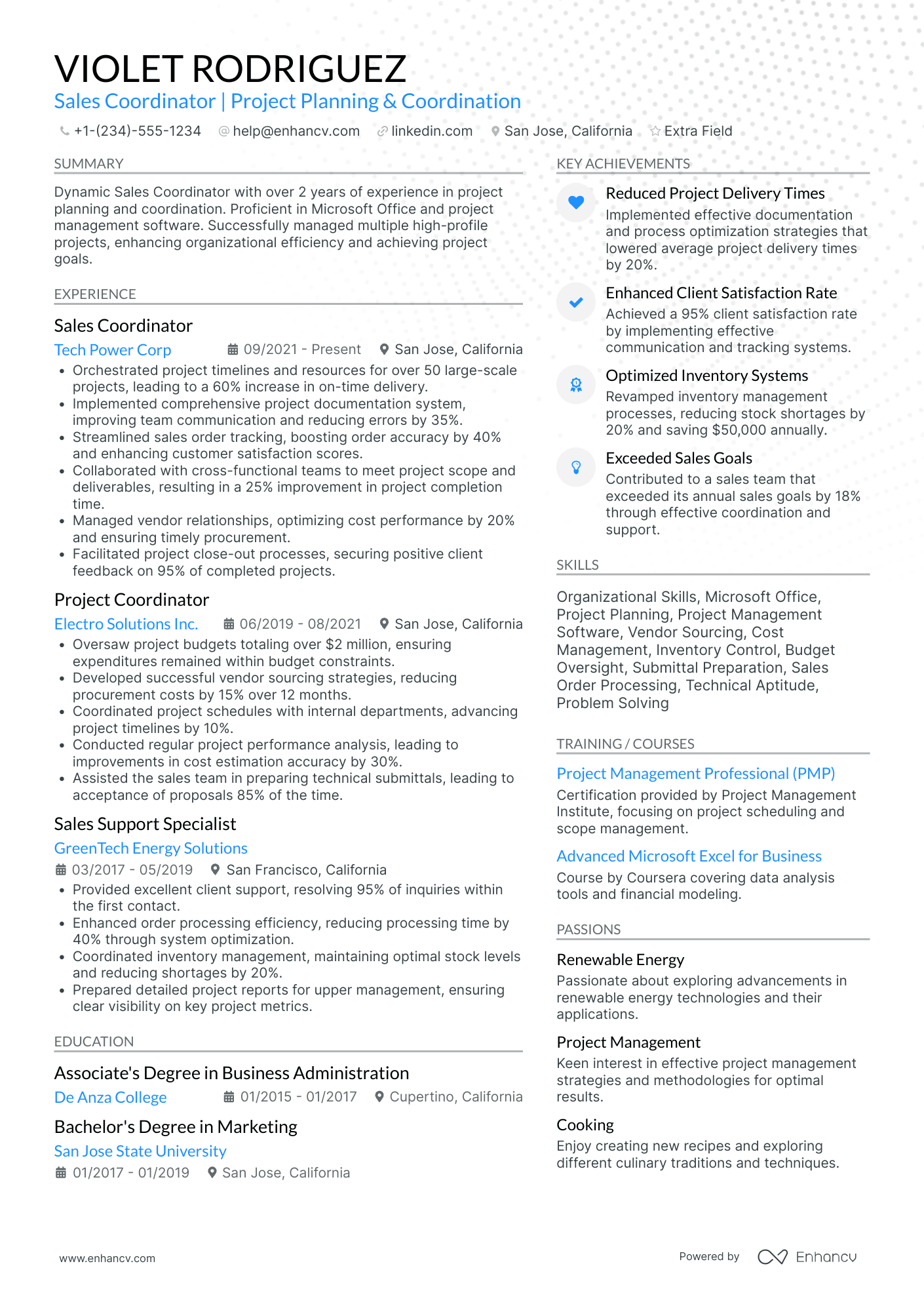 Experienced Outside Sales Coordinator Resume Example