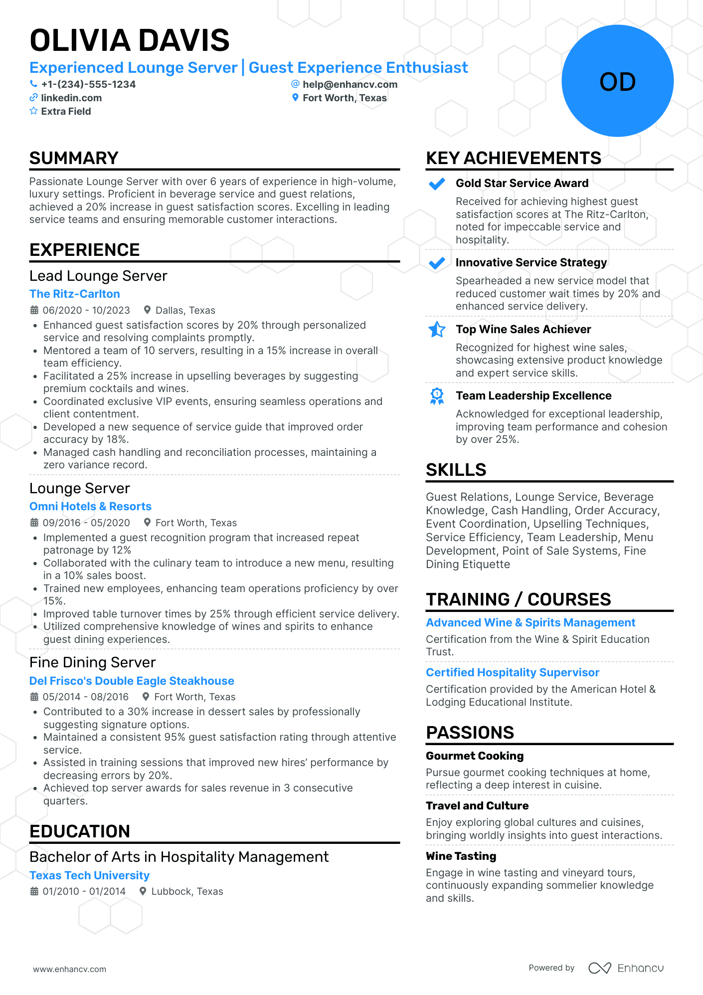 VIP Fine Dining Server Resume Example