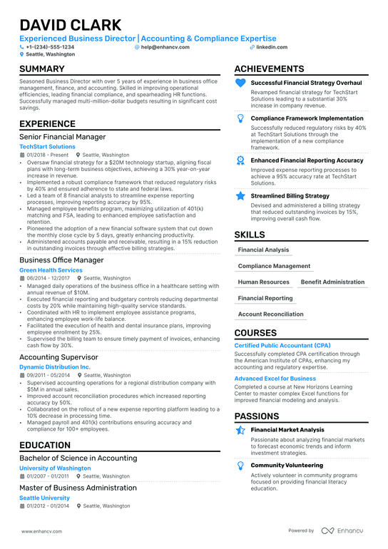 Business Director Resume Example