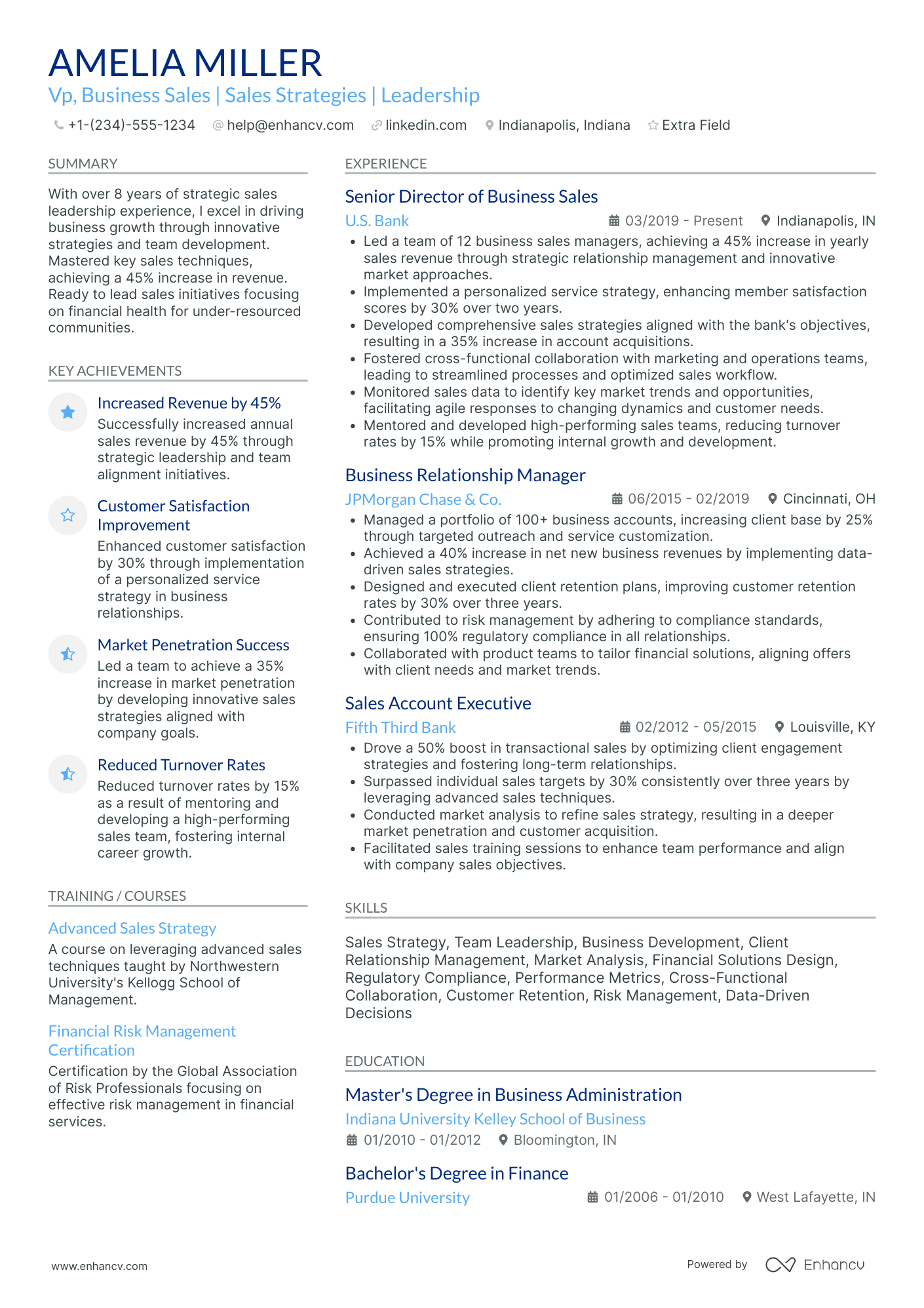 VP of Sales with 5+ years experience Resume Example