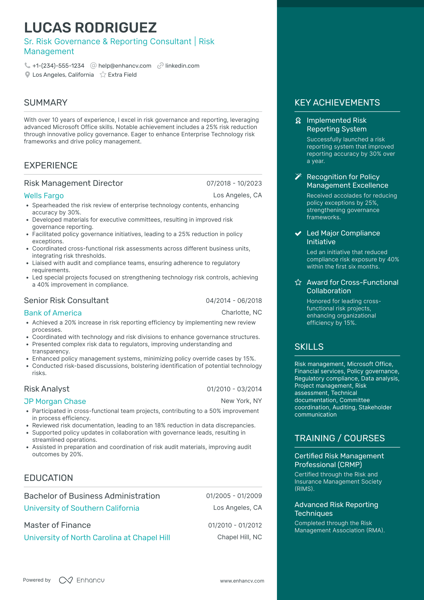 Technology Risk Consultant Resume Example