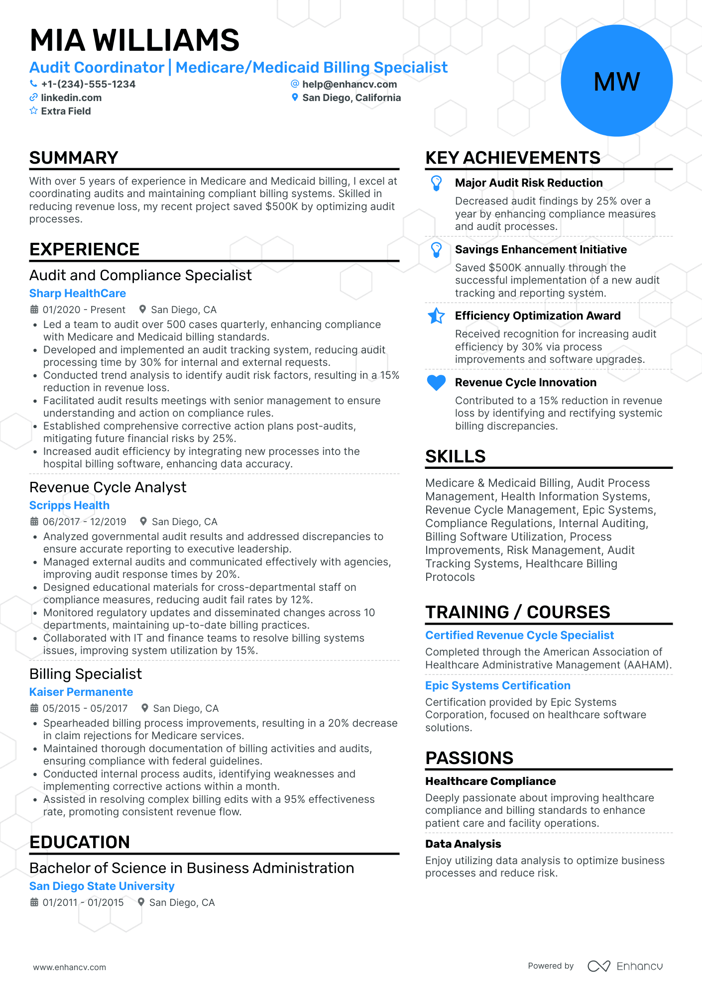 IT Audit Coordinator Resume Example