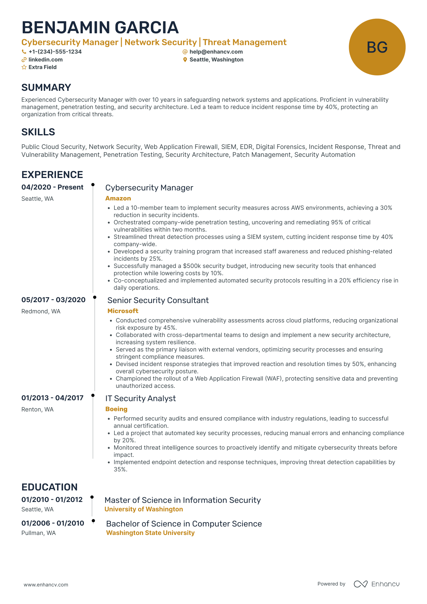 Cyber Security Manager Resume Example