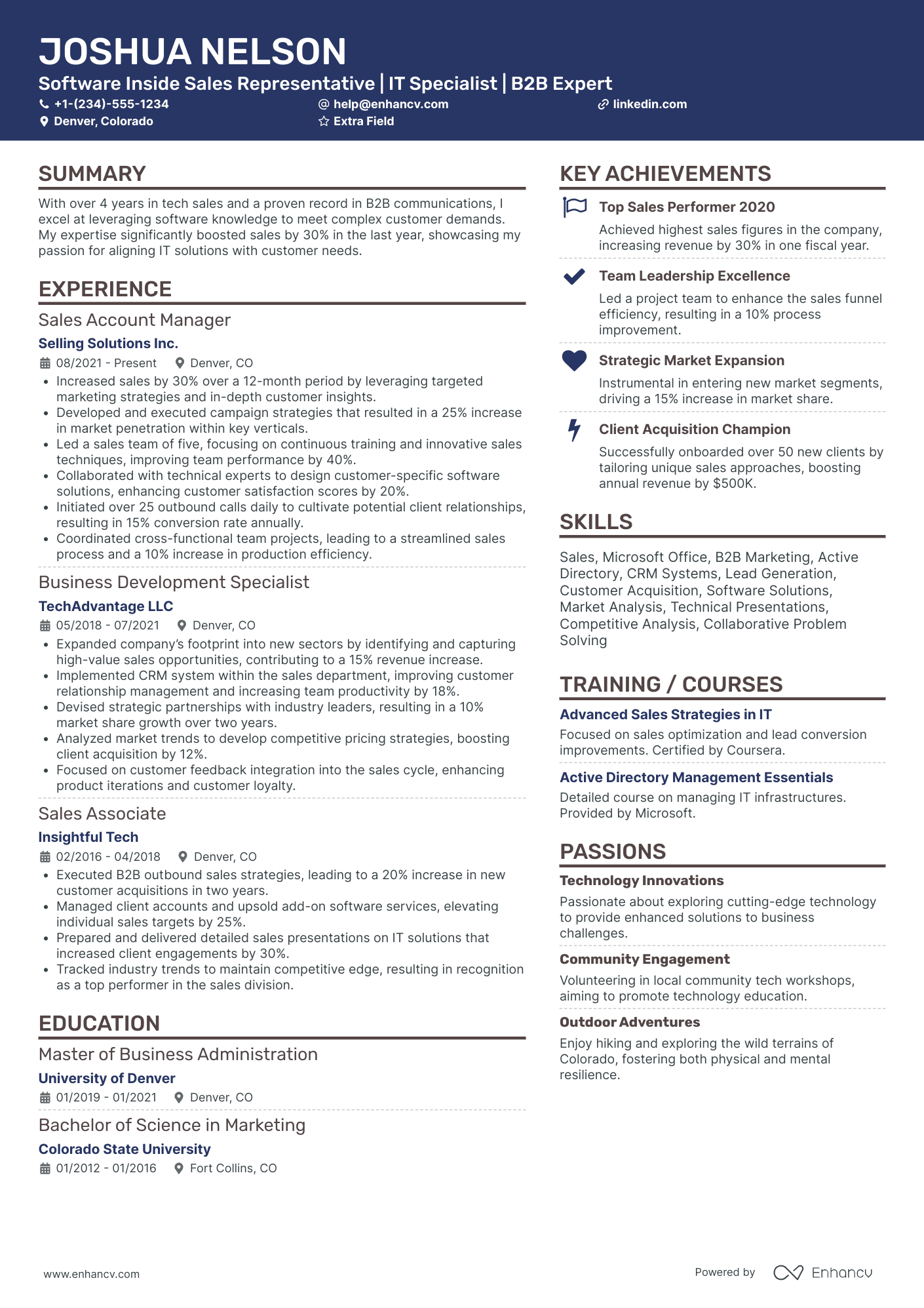 Software Sales Representative Resume Example