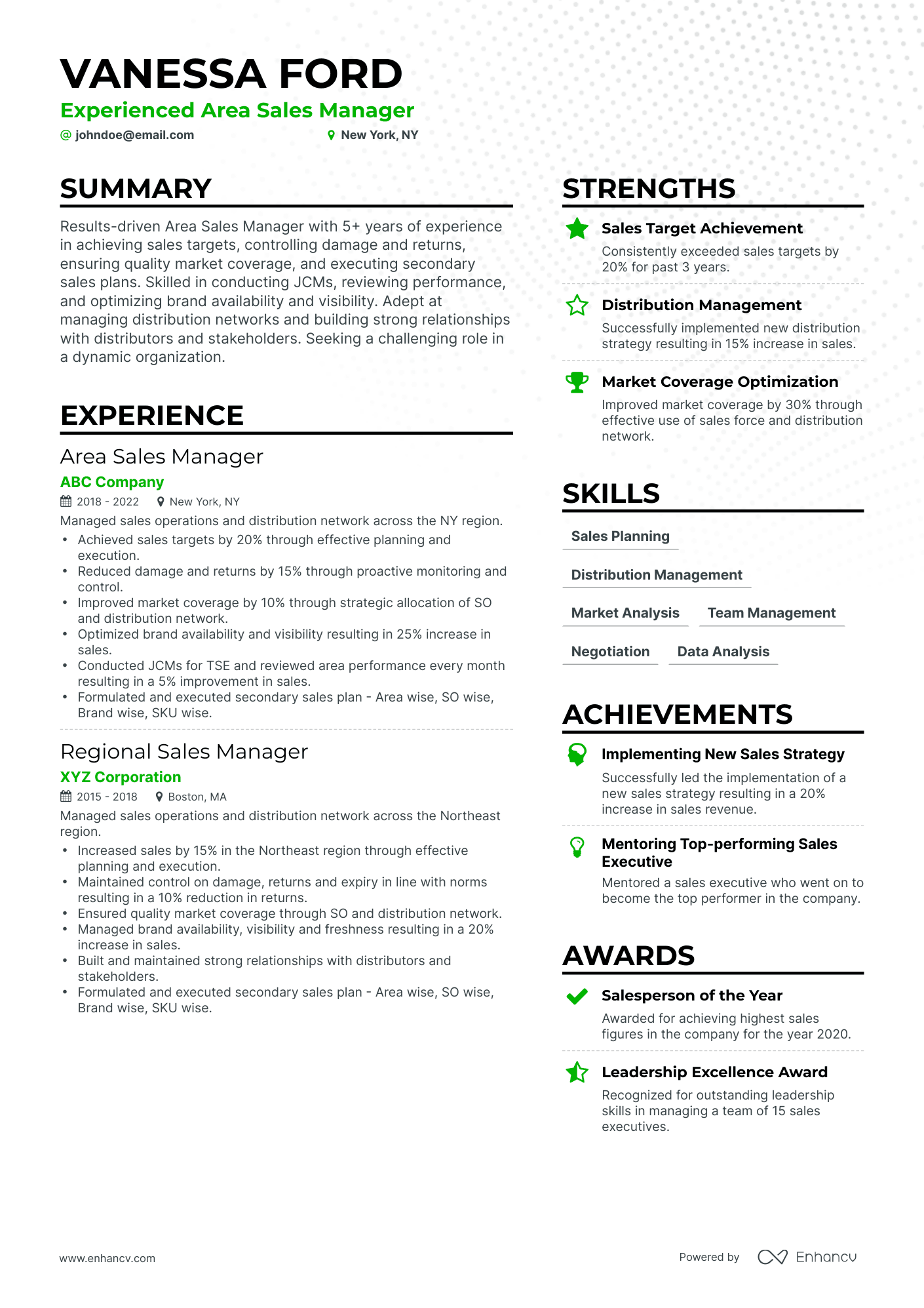 Area Sales Manager Resume Example
